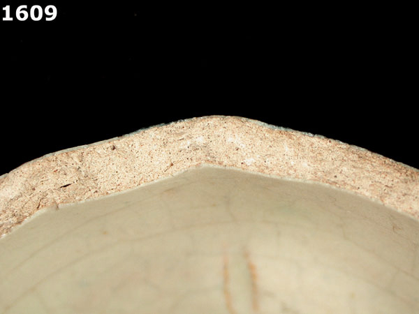 PUEBLA POLYCHROME specimen 1609 side view