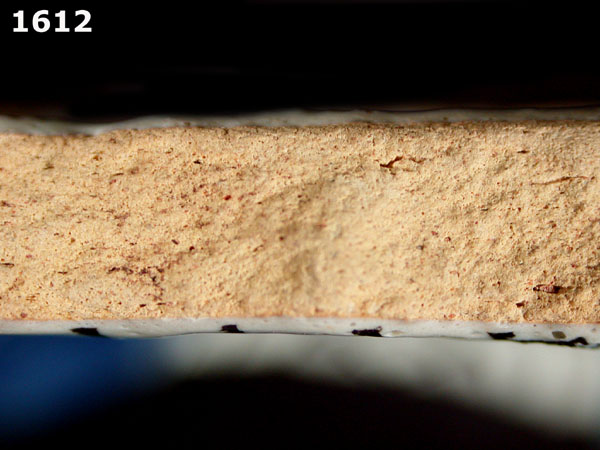 PUEBLA POLYCHROME specimen 1612 side view