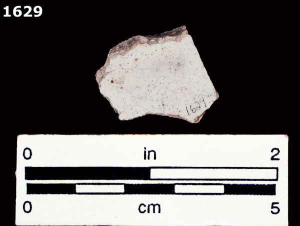 PUEBLA POLYCHROME specimen 1629 rear view