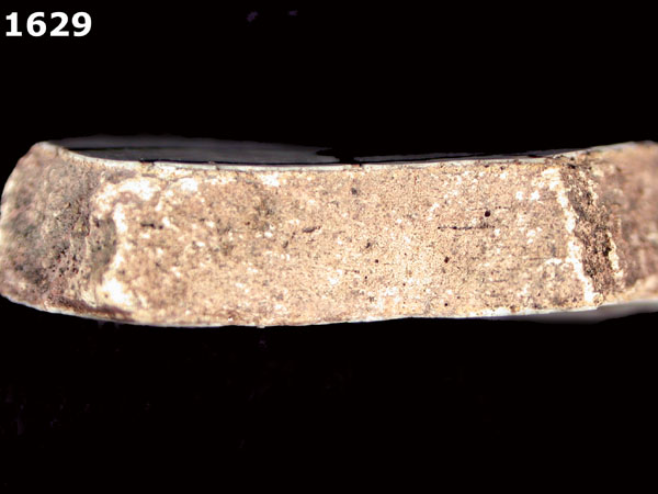 PUEBLA POLYCHROME specimen 1629 side view