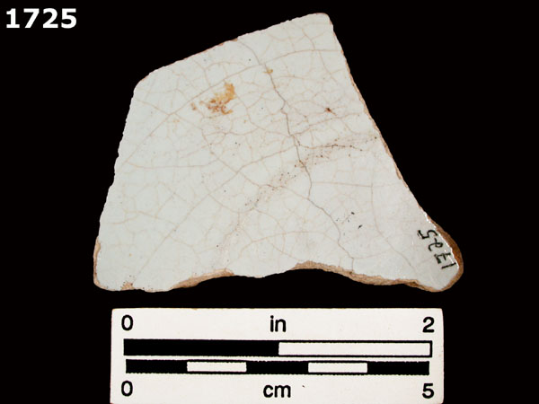 SEVILLA WHITE specimen 1725 rear view