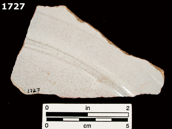 SEVILLA WHITE specimen 1727 rear view