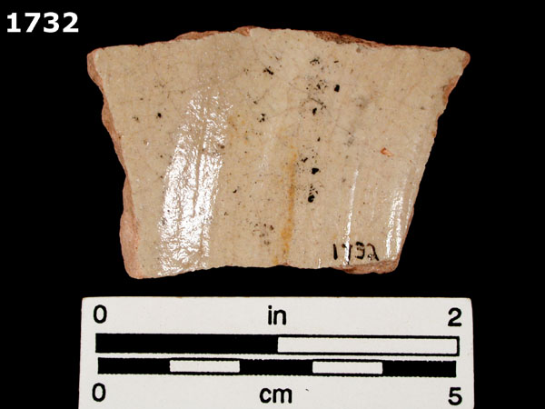 AUCILLA POLYCHROME specimen 1732 rear view