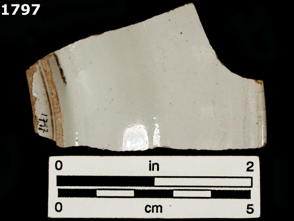 FAENZA WHITE specimen 1797 rear view