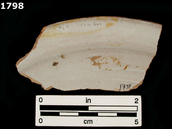 FAENZA WHITE specimen 1798 rear view