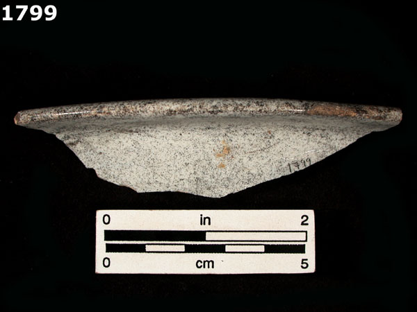 FAENZA WHITE specimen 1799 rear view