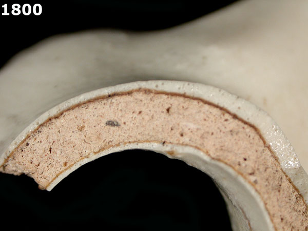 FAENZA POLYCHROME, COMPENDIARIO specimen 1800 side view