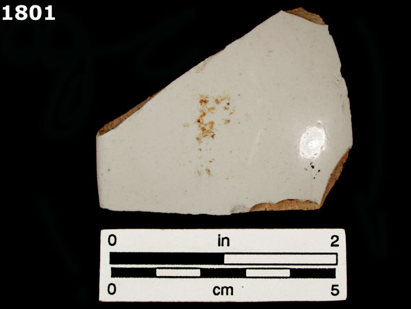 FAENZA WHITE specimen 1801 