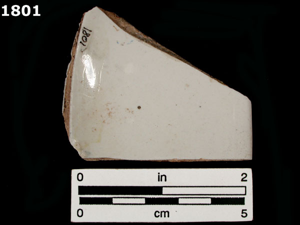 FAENZA WHITE specimen 1801 rear view
