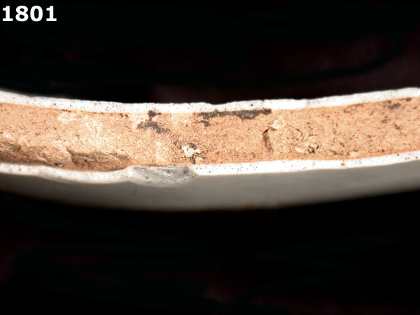 FAENZA WHITE specimen 1801 side view