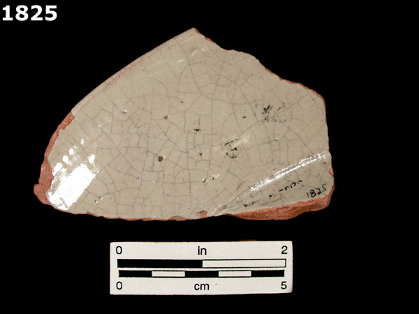 FIG SPRINGS POLYCHROME specimen 1825 rear view