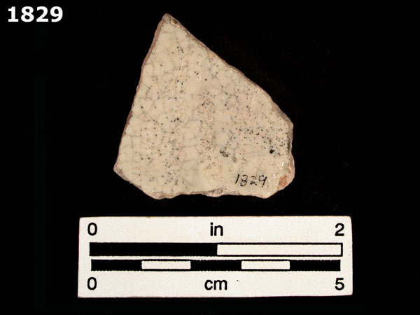 FIG SPRINGS POLYCHROME specimen 1829 rear view