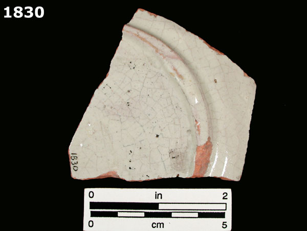 FIG SPRINGS POLYCHROME specimen 1830 rear view