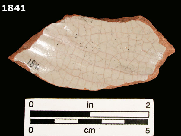 FIG SPRINGS POLYCHROME specimen 1841 rear view