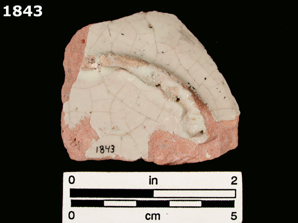 FIG SPRINGS POLYCHROME specimen 1843 rear view