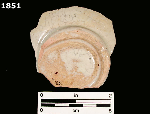 FIG SPRINGS POLYCHROME specimen 1851 rear view