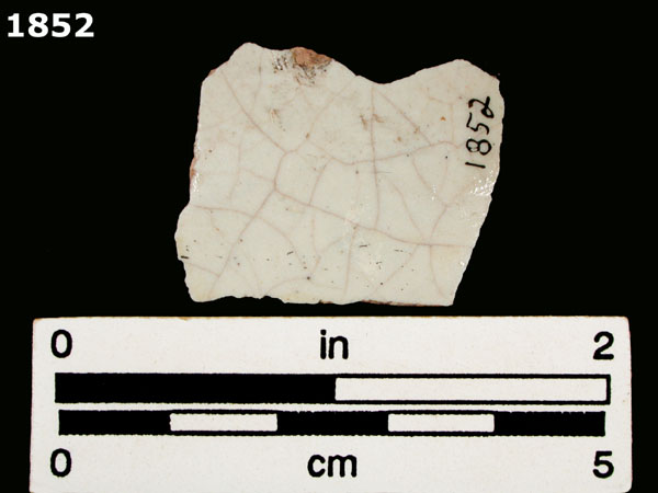 FIG SPRINGS POLYCHROME specimen 1852 rear view