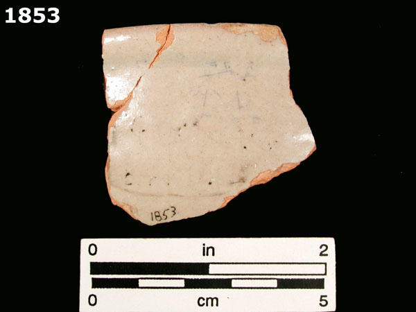 FIG SPRINGS POLYCHROME specimen 1853 rear view