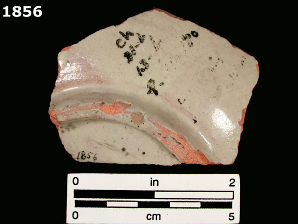 FIG SPRINGS POLYCHROME specimen 1856 rear view