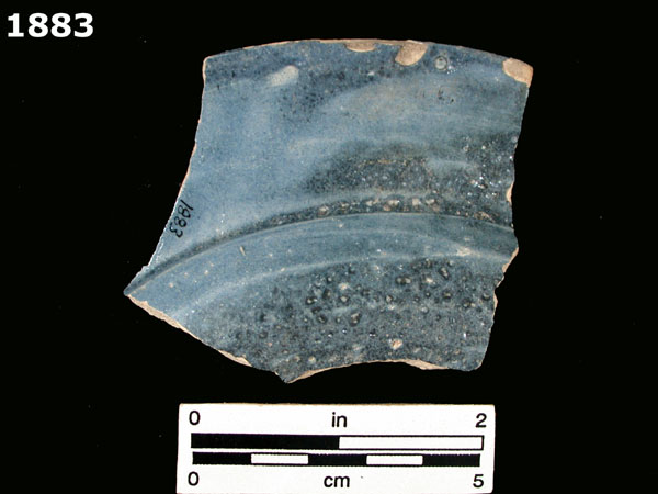 SEVILLA BLUE ON BLUE specimen 1883 rear view