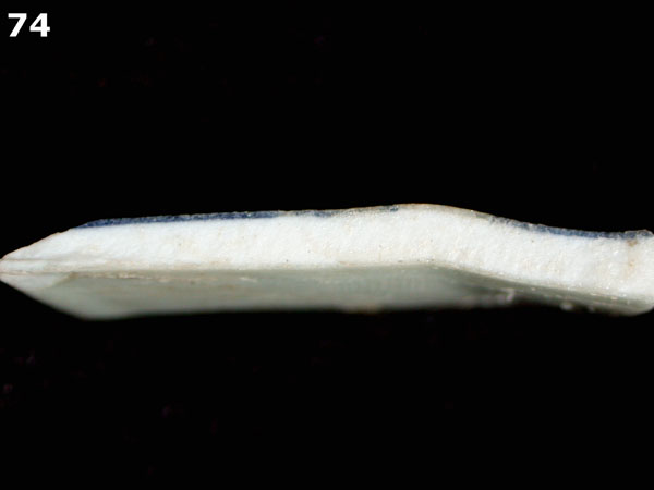 PORCELAIN, CANTON specimen 74 side view