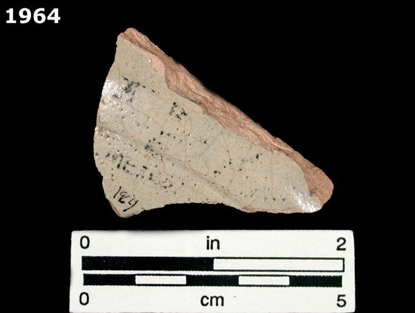 MEXICO CITY BLUE ON CREAM specimen 1964 rear view