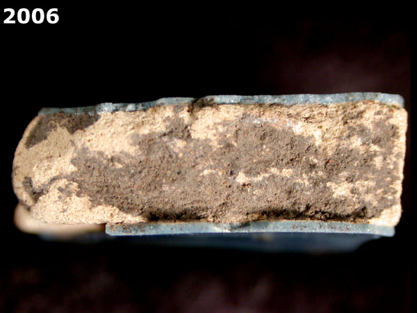 LIGURIAN BLUE ON BLUE specimen 2006 side view