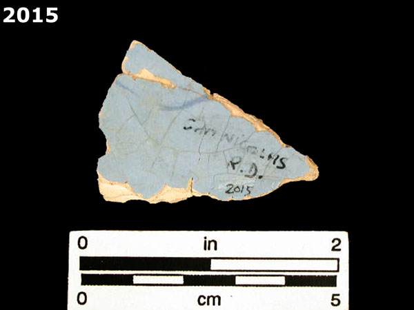 LIGURIAN BLUE ON BLUE specimen 2015 rear view