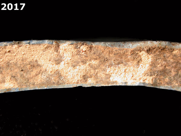 SEVILLA BLUE ON BLUE  specimen 2017 side view