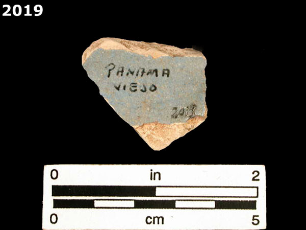 SEVILLA BLUE ON BLUE  specimen 2019 rear view