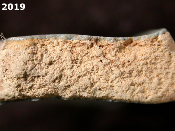 SEVILLA BLUE ON BLUE  specimen 2019 side view