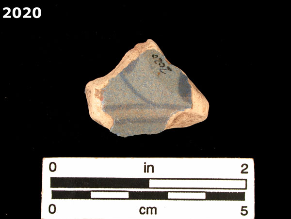 SEVILLA BLUE ON BLUE  specimen 2020 rear view