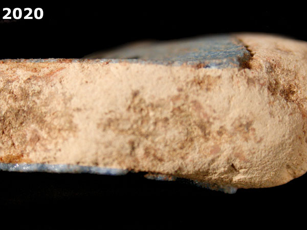 SEVILLA BLUE ON BLUE  specimen 2020 side view