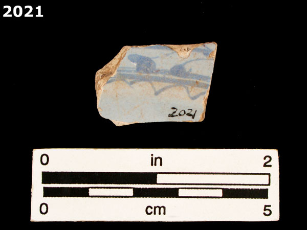 LIGURIAN BLUE ON BLUE specimen 2021 rear view