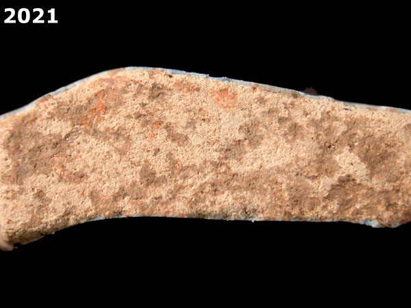 LIGURIAN BLUE ON BLUE specimen 2021 side view