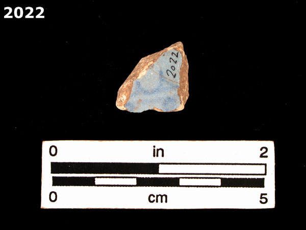 SEVILLA BLUE ON BLUE  specimen 2022 rear view