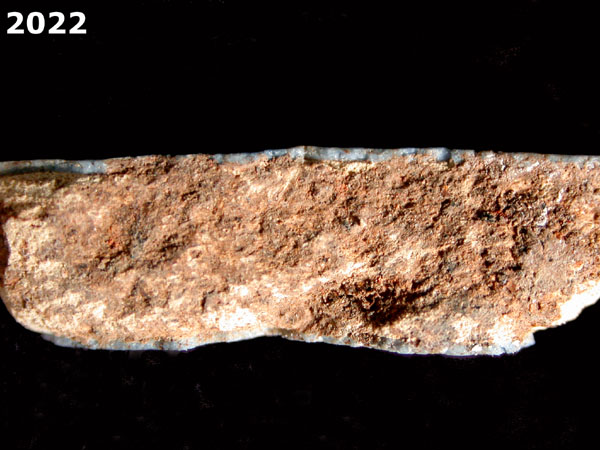 SEVILLA BLUE ON BLUE  specimen 2022 side view