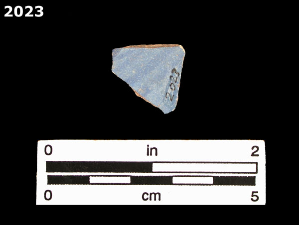 SEVILLA BLUE ON BLUE  specimen 2023 rear view