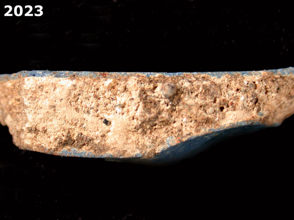 SEVILLA BLUE ON BLUE  specimen 2023 side view