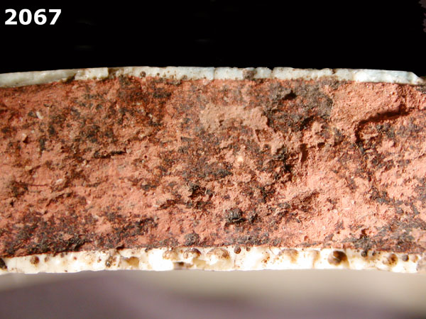 PANAMA BLUE ON WHITE specimen 2067 side view