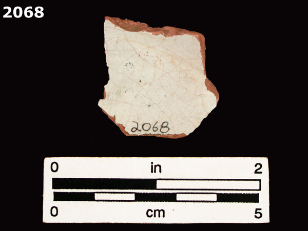 PANAMA BLUE ON WHITE specimen 2068 rear view