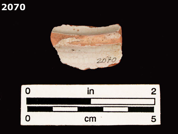 PANAMA BLUE ON WHITE specimen 2070 rear view