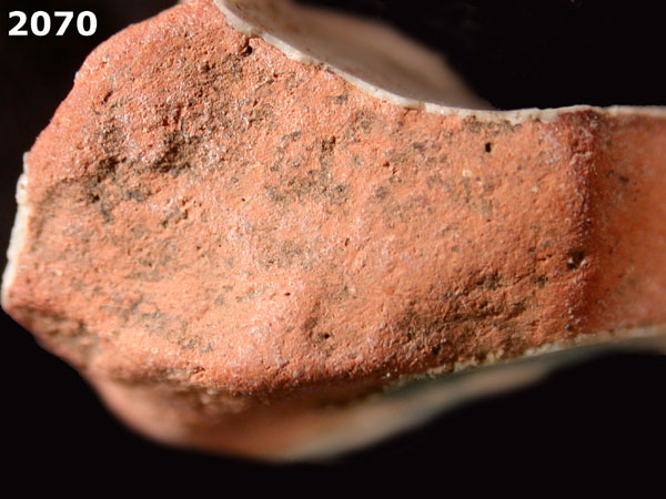 PANAMA BLUE ON WHITE specimen 2070 side view