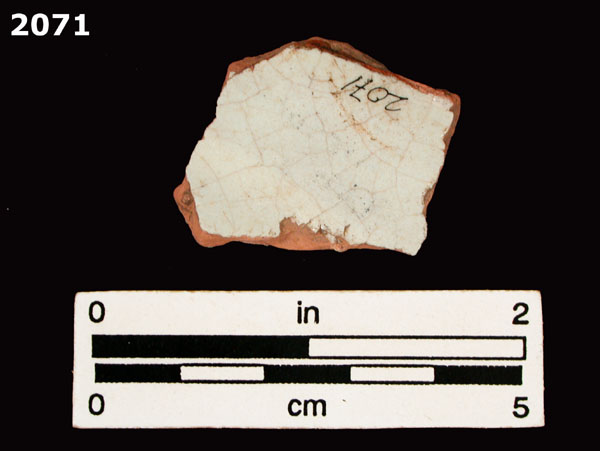 PANAMA BLUE ON WHITE specimen 2071 rear view