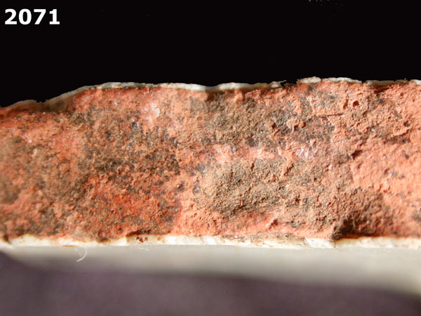 PANAMA BLUE ON WHITE specimen 2071 side view