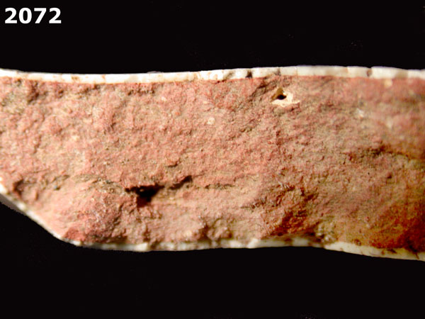 PANAMA BLUE ON WHITE specimen 2072 side view