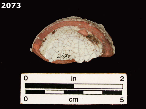 PANAMA BLUE ON WHITE specimen 2073 rear view