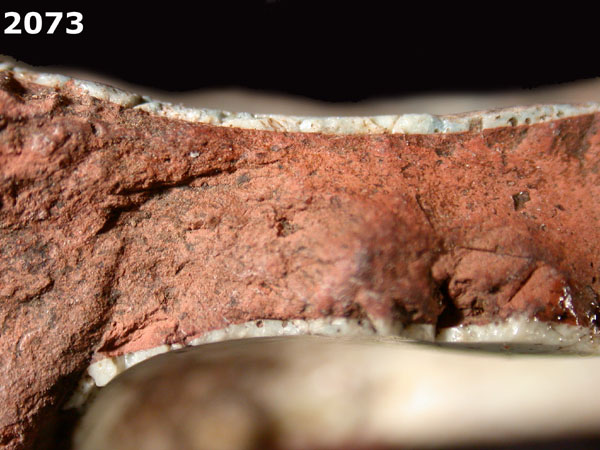 PANAMA BLUE ON WHITE specimen 2073 side view