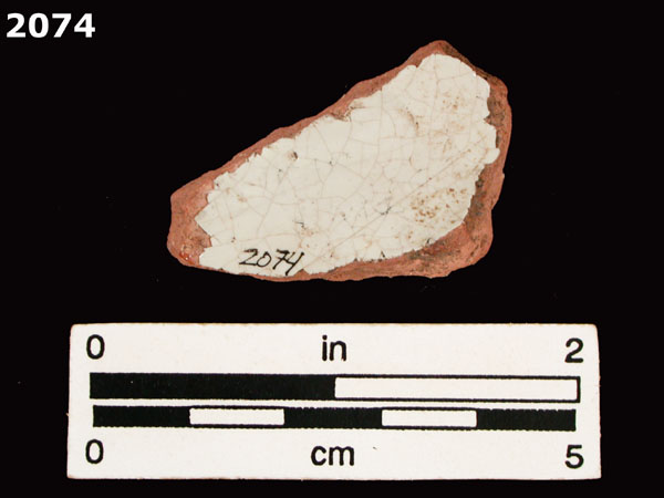 PANAMA BLUE ON WHITE specimen 2074 rear view