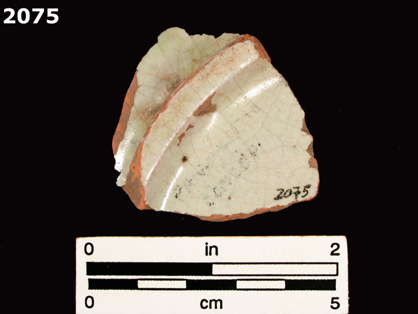 PANAMA BLUE ON WHITE specimen 2075 rear view